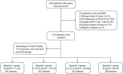 Clinical predictive value of the CRP-albumin-lymphocyte index for prognosis of critically ill patients with sepsis in intensive care unit: a retrospective single-center observational study